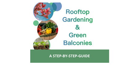 rooftop gardening and green balconies a step by step guide