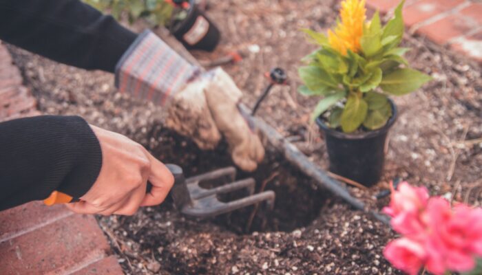 a women holding a garden fork