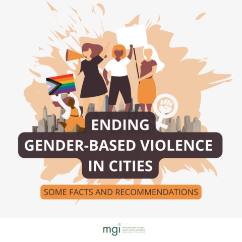 end gender based violence in cities. facts and recommendations